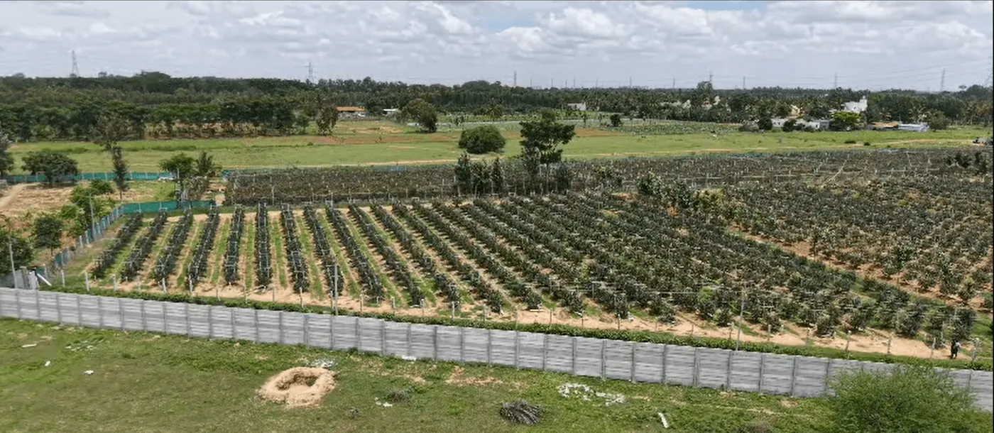 Akshayakalpa Vana Greens